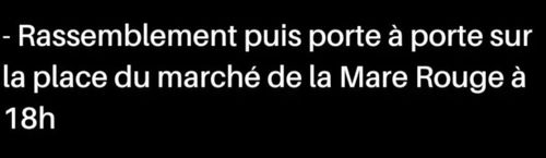 Rassemblement et porte à porte Front Populaire