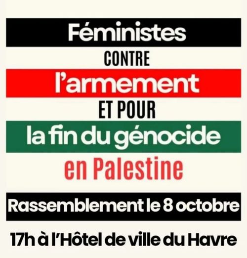 Rassemblement féministes contre l'armement et pour la fin du génocide en Palestine