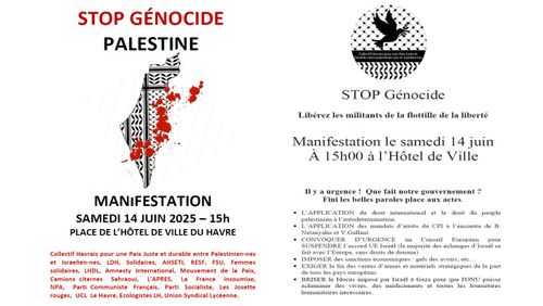 Manifestation Stop génocide en Palestine